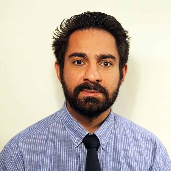 seyed mohammad amin shahrokni